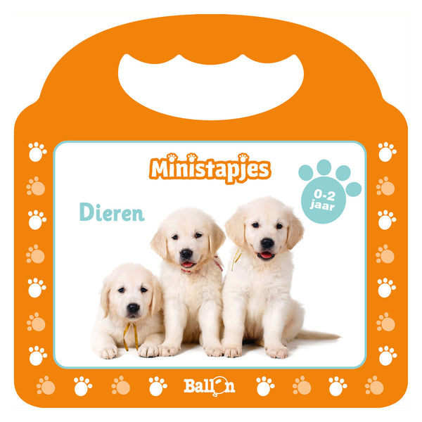 Ministapjes Dieren