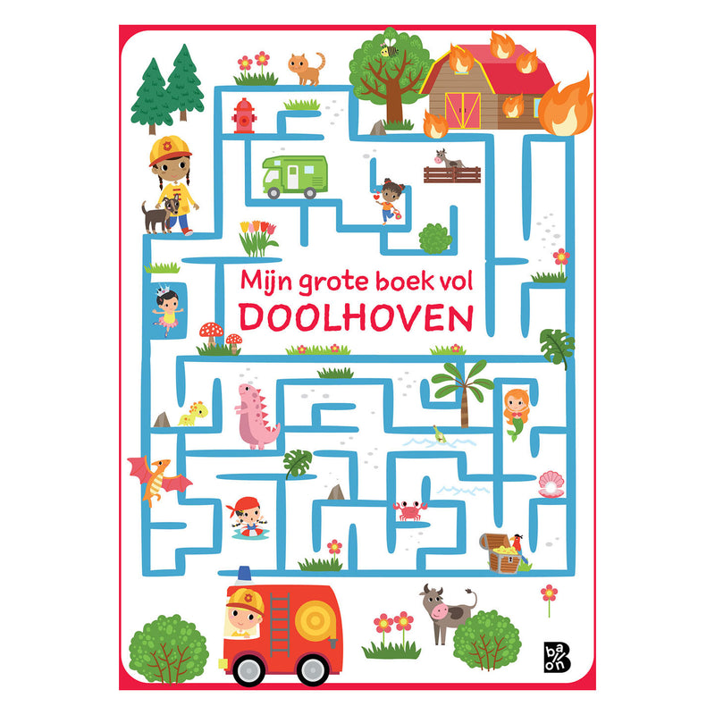 Mijn grote boek vol doolhoven