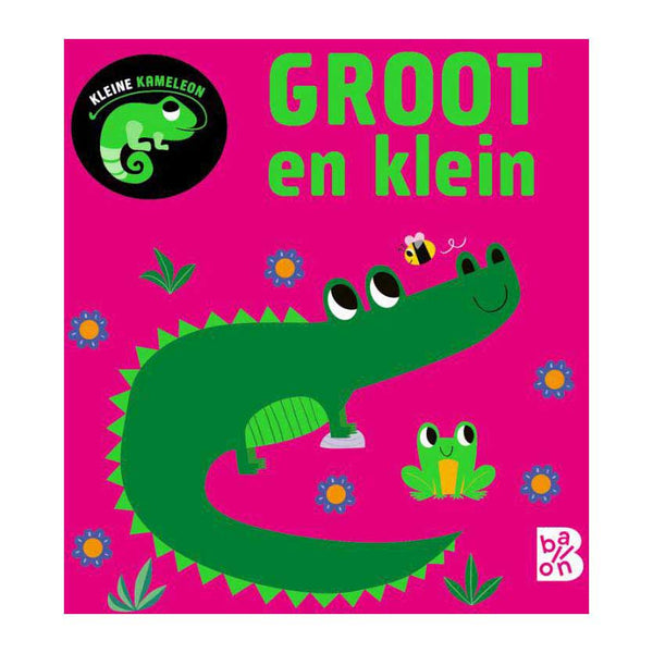 Kleine Kameleon - Groot en Klein 12m+