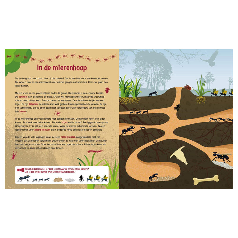 Speuren onder de Grond + kartonnen zaklamp