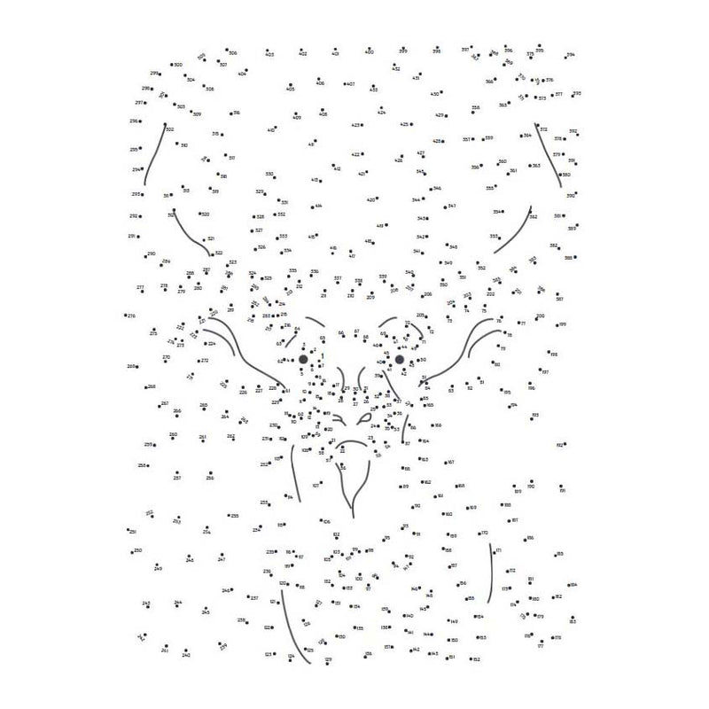 Extreme Punt Naar Punt  - Bosdieren