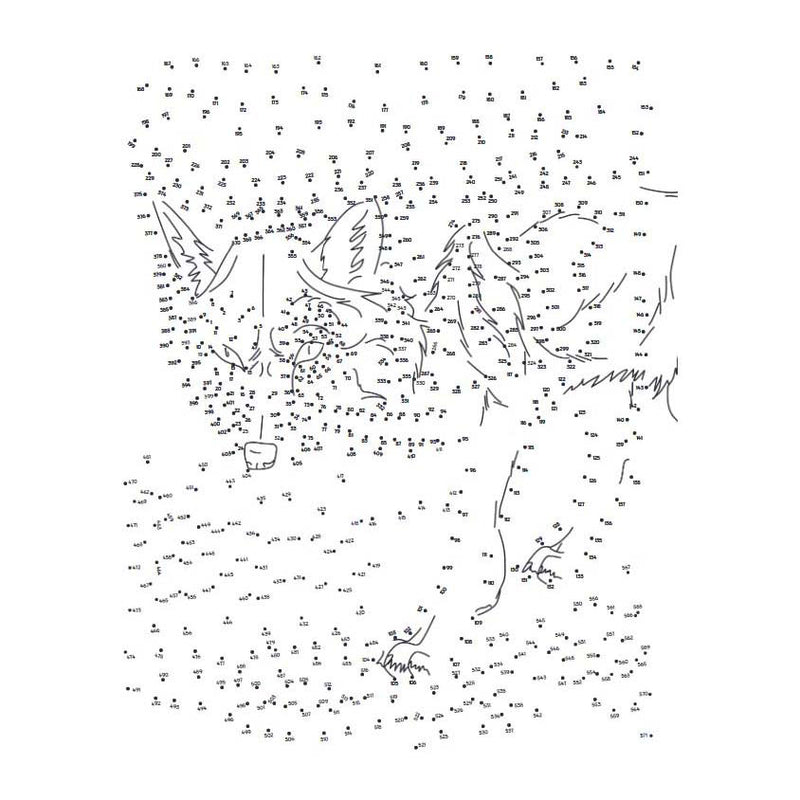 Extreme Punt Naar Punt  - Bosdieren