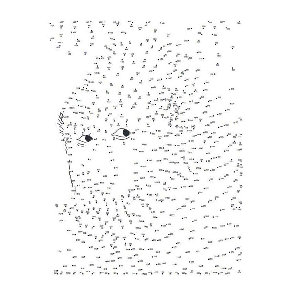 Extreme Punt Naar Punt  - Dieren