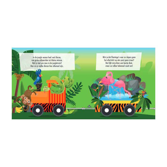 Boek en Puzzeltrein Jungle