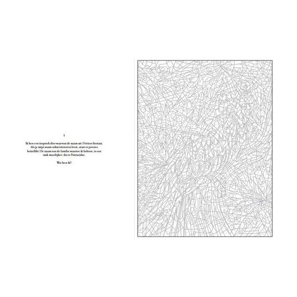 Kleurgeheimen - Jungledieren