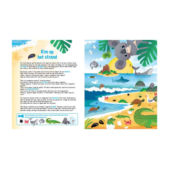 Speuren naar koala's