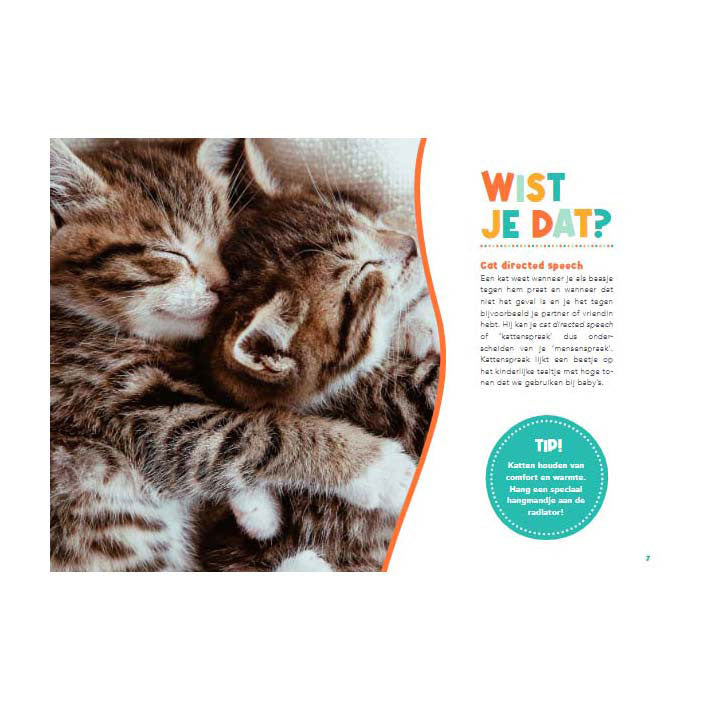 Handboek voor kattenbaasjes