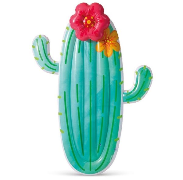 Intex cactus vlot 58793NP