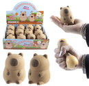 12 Squeeze capybara in display 8cm. 4688