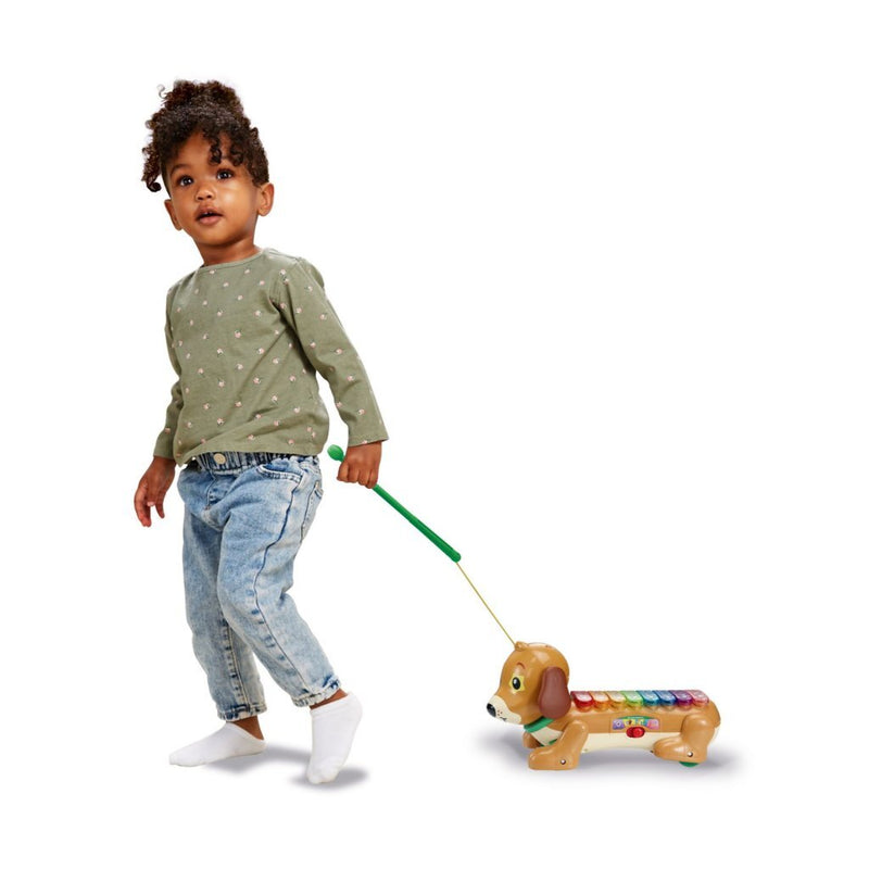 VTech Baby Timmie Teckel Xylofoon + Licht