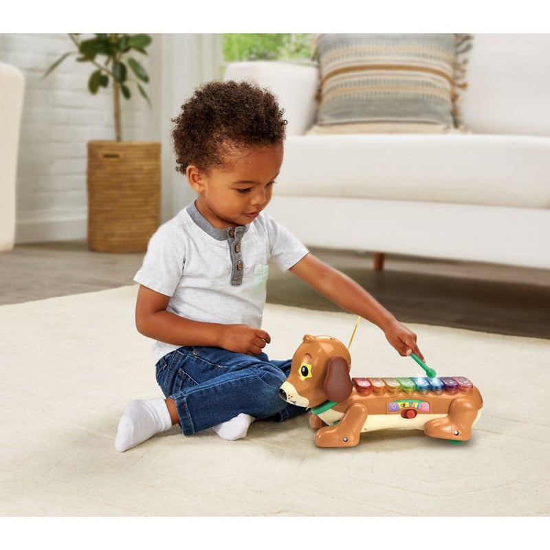 VTech Baby Timmie Teckel Xylofoon + Licht