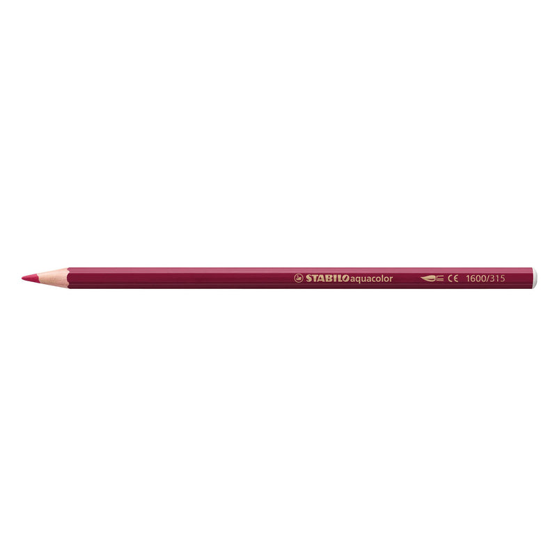 STABILO Aquacolor - Aquarel Kleurpotlood - ARTY - Set 24 St.