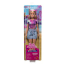 Barbie Mysteries Beach Detectives Malibu