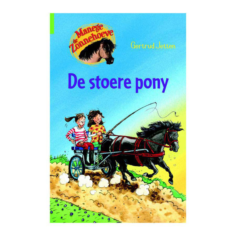 De Stoere Pony