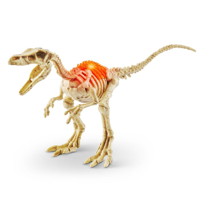 Zuru Robo Alive Dino Fossil Find + Licht