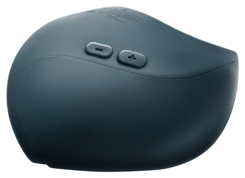 Pulse Duo 2025