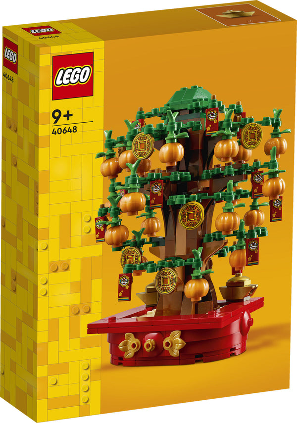 LEGO Iconic 40648 Geldboom