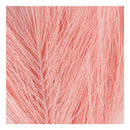 Kunstveren Oranje, 10st.