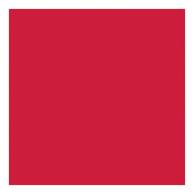 Outdoor Verf - Rood, 250ml