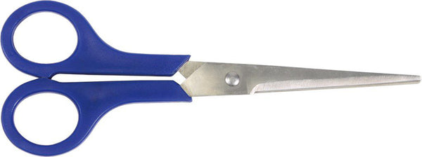 Schaar RVS Cyclus 20 cm universeel