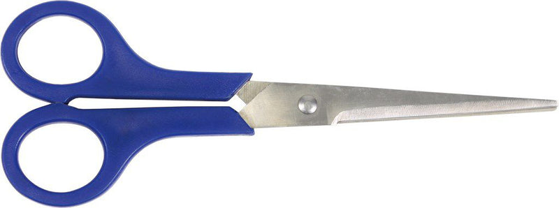 Schaar RVS Cyclus 20 cm universeel