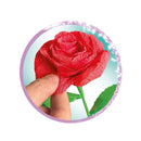 Clementoni Idea Geurende Bloemen Maken Rozen