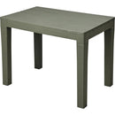 Pro Garden Tafel 60x38.5x45 cm Groen