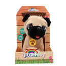 Pluchiez Blaffende Franse Bulldog Frankie