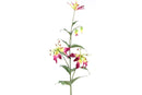 ountryfield Kunstbloem Gloriosa aubergine82cm