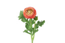 Countryfield Kunstbloem Ranunculus roze 51cm