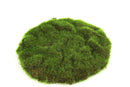 Countryfield Mosschijf marchantiophyta S groen 22x22x2cm