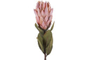 Countryfield Kunstbloem Protea roze 61cm