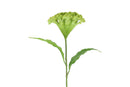 Countryfield Kunstbloem Celosia groen 62cm