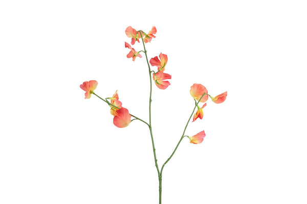Countryfield Kunstbloem Lathyrus oradus zalm 77cm
