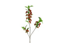 Countryfield Kunstbloem Viburnum rood 15cm