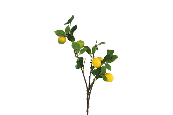 Countryfield Kunstbloem Citrus limon geel 86cm