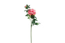 Countryfield Kunstbloem Paeonia S d.roze 68cm