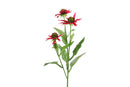 Countryfield Kunstbloem Echinacea d.roze 70cm