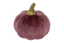 Countryfield Pompoen Pumpa S 8x8x8cm - lila