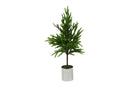 Countryfield Kerstboom Araucaria S d.groen 20x20x60cm