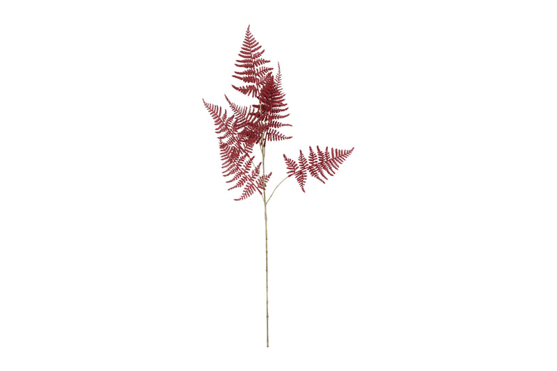 Countryfield Kunstbloem Asparagus S bordeaux 85cm