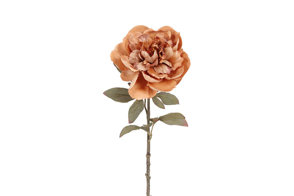 Countryfield Kunstbloem Peony Sibel L l.bruin 57cm