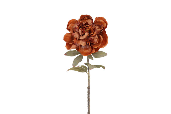 Countryfield Kunstbloem Peony Sibel L bruin 57cm