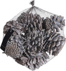 Dennenappel set 300 gram - Wit