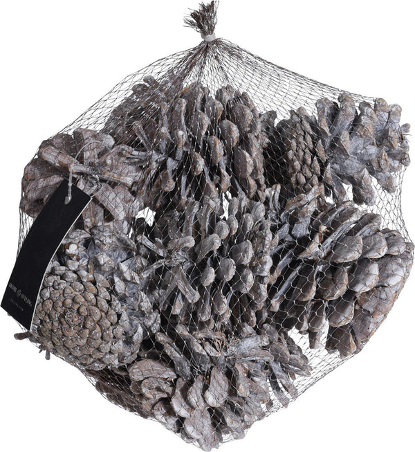 Dennenappel set 300 gram - Wit