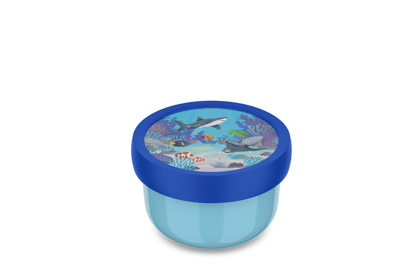 Mepal Campus fruitbox 300ml - tropical ocean