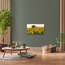 Thomson 32HA2S13 Smart Android HD TV 32 Inch Zwart