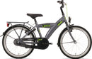 Kinderfiets Bikefun Urban City 24 inch met Nexus 3 versnelling/remnaaf - Titanium