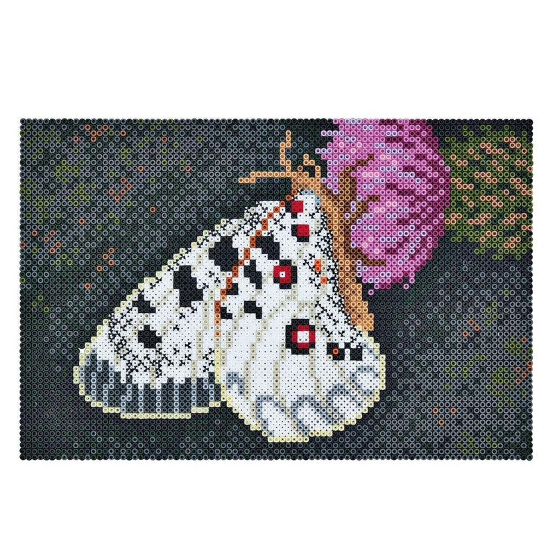 Hama DIY Art Vlinder (10.000st.)