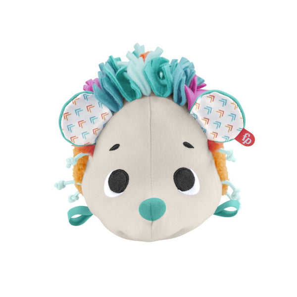 Fisher Price Cuddle and Snuggle Knuffel Egel
